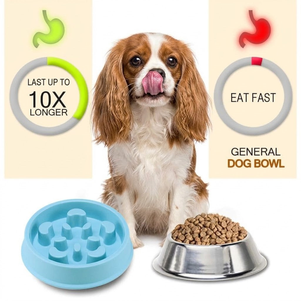 Anti - Gluping Cavalier Bowl
