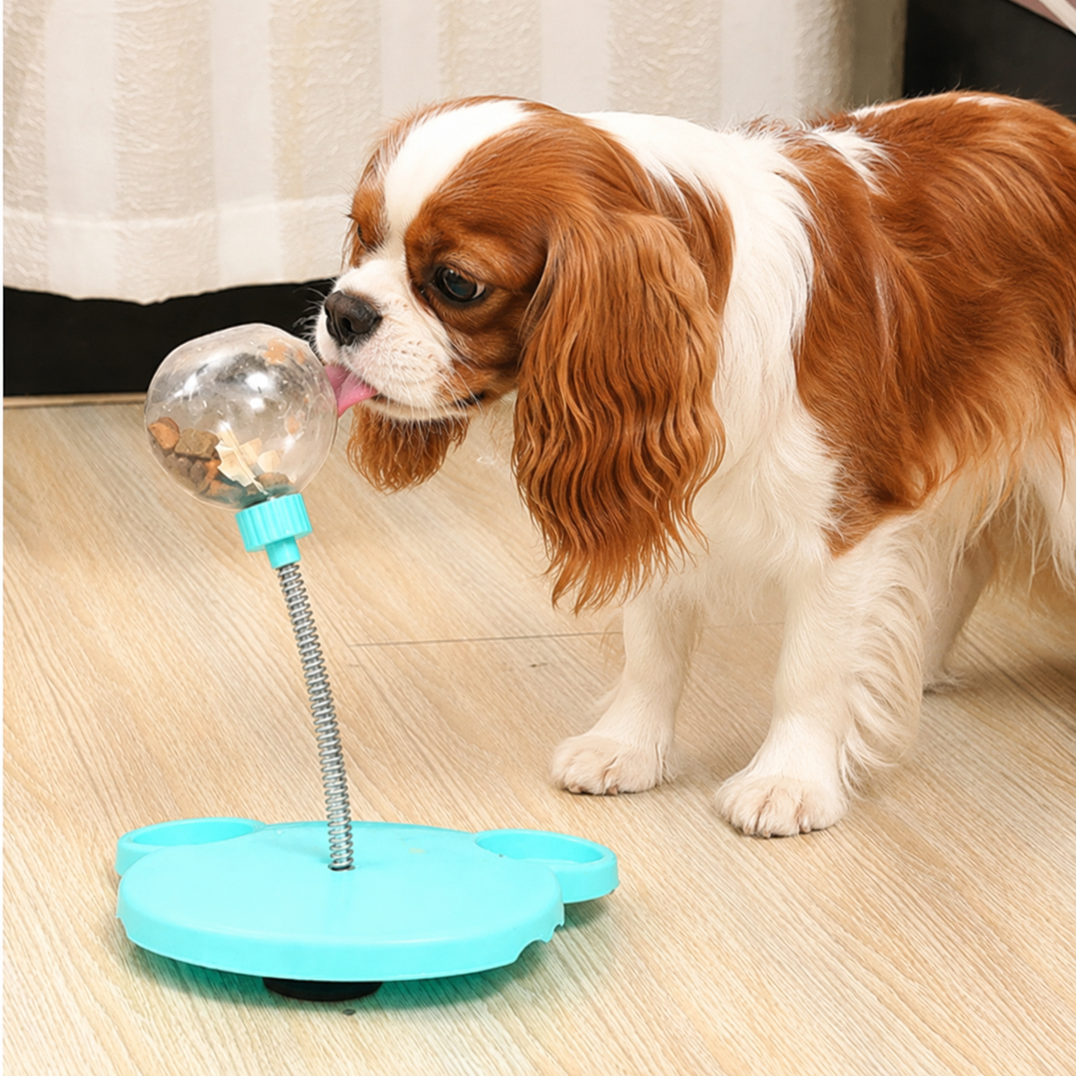 Cavalier Feeding Stick