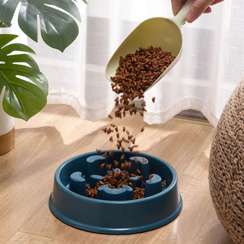 Anti - Gluping Cavalier Bowl